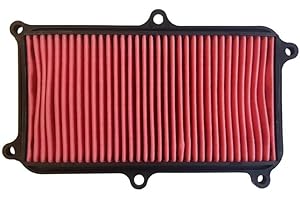 BCR COMPONENTS BCR Hokio Filtro Aria compatibile con Kymco People S I ABS/CBS 125-150cc 2017-2022 Ricambio scooter OEM 00117743