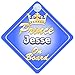 Crown Prince Jesse On Board Personalised Baby / Child Boys Car Sign