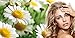 Premium Blonde Hair Conditioner with Natural Camomile Extract - Specifically Designed Conditioner For Blondes to Keep and Enhance Your Blonde Hair Colour (250 ml)