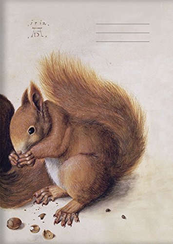 Preisvergleich Produktbild Kladde A5 Eichhörnchen