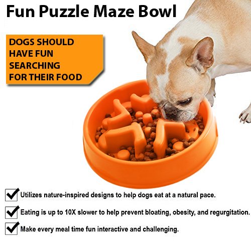 Simply Pets Online Anti Gulp Dog Bowl Pet Safe Large Non Toxic