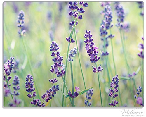 Stilvolle Glasunterlage / Schneidebrett aus Glas, Lila Blumenfreude - Violette Pflanzen auf der Wiese, Größe 30 x 40 cm, kratzfest, aus Sicherheitsglas