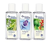 Delicious Sauna Infusion: Lemongrass & Basil, Ginger & Lime, Glacial Mint (3x190ml) from Spitzner