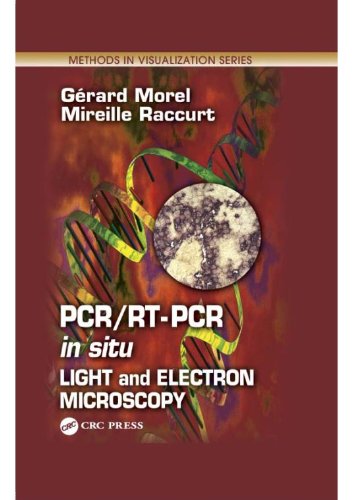 Pcrrt Pcr In Situ Light And Electron Microscopy Methods - 