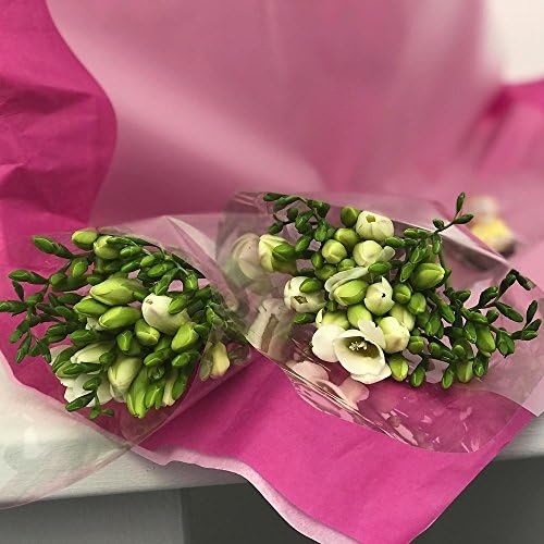 White Freesia in Letterbox Friendly Gift Packaging with FREE Delivery - Fresh Flowers with Ferrero Rocher Chocolates Delivered by Post