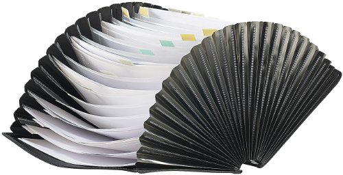 Preisvergleich Produktbild Xcase Fächermappe: Dokumentenmappe mit 25 Fächern YP-OTA4-25 (Aktenmappe)
