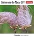 Geheimnis der Natur 2011. Postkartenkalender: 53 Postkarten by
