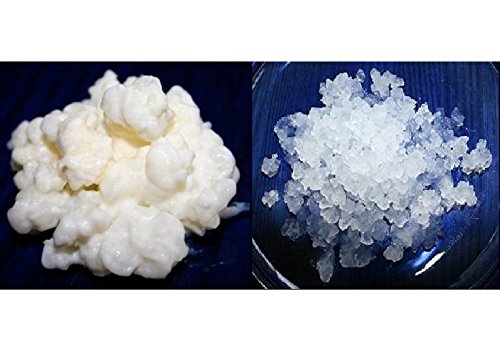 Kefiralia - Pack Kéfir Di Latte + Kéfir Di Acqua Freschi