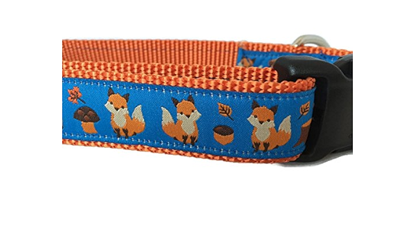 fall dog collar