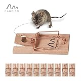 Gardigo 6232210 - Piege à Souris Pièges Tapettes Souris en Bois Écologique et Réutilisable, 10 Pièces