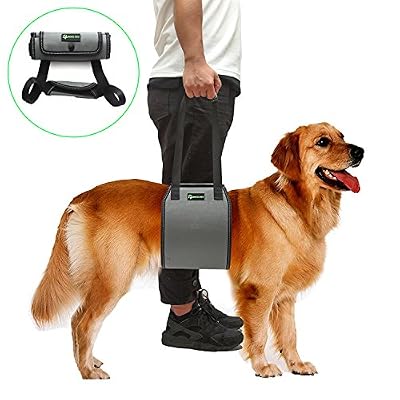 RockPet Harnais de soutien pour chiens avec poignée pour l’aide canine, Harnais de soulèvement pour chiens approuvé par les vétérinaires pour la réhabilitation (Gris)