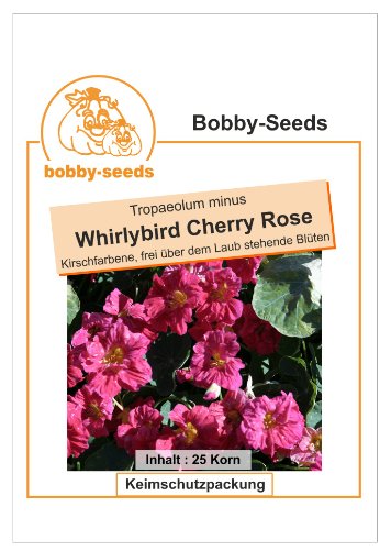 Bobby-Seeds Kapuzinerkressesamen Whirlybird Cherry Rose Portion - 2