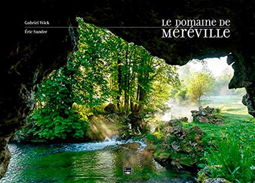 Télécharger Le domaine de Méréville, renaissance d’un jardin PDF Ebook En Ligne