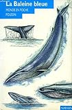 Le baleine bleue
