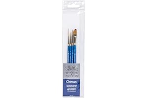 Winsor & Newton Cotman"pennello manico corto (confezione da 4)