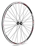 Montaje fácil Gurpil 64377 Rueda, Trasero, DPX, Radio, Shimano, Negro, 11v