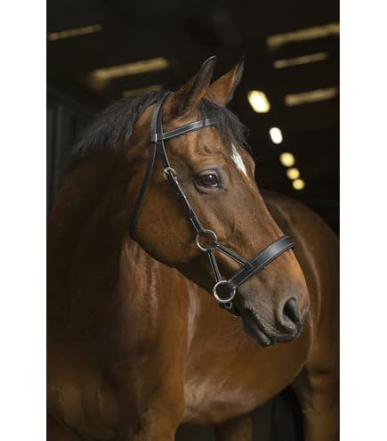 Bride Sans Mors Trust USG Pour Cheval Pur-sang - Noir, Avec Rênes Et Bandeau Strass - Alternative Douce