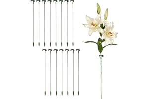 RUGUOA 15 Stück Pflanzenstützen Pflanzenstütze 27cm Blumen Pflanzenstützstab Gemüse Pflanzstab mit Garden Pflanzstäbe Pflanzenstäbe Stützstäbe für Pflanzen für Orchideen,Amaryllis,Pfingstrosen,Paprika