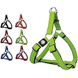 Hundegeschirr Step-In aus Air Mesh verschiedene Farben und Größen XS, S, M, L, XL: Brustgeschirr, Laufgeschirr, Führgeschirr, verstellbar, Zugentlastung, leicht, gepolstert, luftdurchlässig, atmungsaktiv, soft, weich, stark, stabil, farbig, für große und kleine Hunde by DDOXX (Leine und Halsband separat erhältlich) (Grün, M - 2,5 x 53-77 cm)