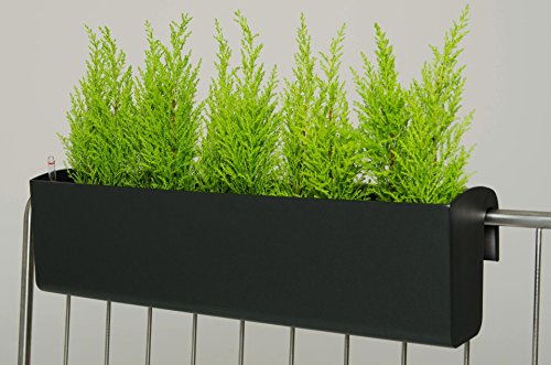 Balkonkasten "Balkona Classico" 80 cm, Anthrazit mit Bewässerungsset