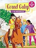 Grand galop T07 De l'amour dans l'air