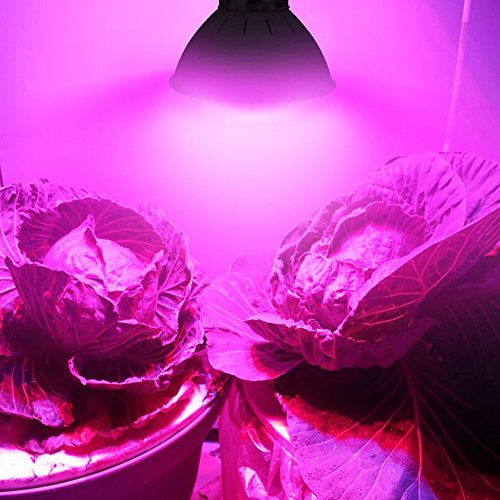Preisvergleich Produktbild VENMO Volle Spektrum-Innenbetrieb Lampe E27 4W 8w 10w 12w 60-LED für Pflanzen Vegs Hydroponische System-Anlage LED Pflanzenlampe, Lampenschirm Design Schirm für Lampen mit Natur-Motiv und Schrift – Sanftes Licht für Tischleuchte / Stehlampe / Hängelampe im Wohnzimmer, Esszimmer, Schlafzimmer Pflanzenlicht (12w)