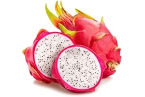 GÉNÉRIQUE 50 Graines FRUIT DU DRAGON - Pitaya BLANC - Hylocereus undatus - Fruit Fleur Jardin - 298