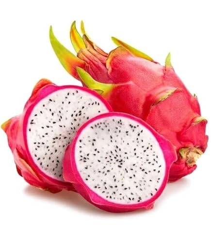 60 Semi Di Frutto Del Drago (Pitaya) – SemiSelvaggio Permacultura, Non Ibridi E Senza Chimica