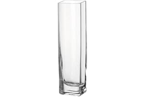 LEONARDO HOME Kasten-Vase Lucca, moderne Blumenvase, handgefertigtes Unikat in rechteckiger Form aus Glas, H 30 x B 8-cm, 014382