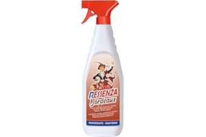 RUBINO CHEM Olè Ressenza Detergente Profumato 750 ml - Profumatore Ambiente 5 in 1 Spray Igienizzante Multiuso per Pavimenti e Superfici - Profuma, Igienizza, Deodorizza, Deterge e Spolvera - Bordeaux