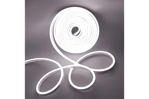 WISADA Tira de luz LED de Neón, Tiras de Luces DC 12V 120 LEDs/M Luz de LED IP65 Flexible para Dormitorio, Bar, Sala de juegos, Cumpleaños, Fiesta de Navidad Decoración Party (5m, Blanco)