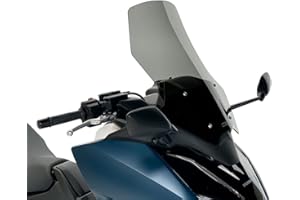 CUPOLINO STANDARD WRS FUME' FORZA 750 2021-2024