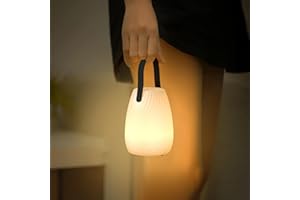 FUYO Lampada da tavolo a LED a batteria, senza fili, dimmerabile, portatile, per esterni, con 8 colori, cambia colore, per camera da letto, soggiorno, barbecue, giardino (manico in plastica, twill)