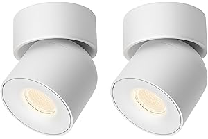 A AISILAN Aisilan 2 Pack White Ceiling Spotlight Dimmable 9W LED Warm White Rotatable 360° Adjustable Ceiling Single Spot Light for Wall Painting, Gallerie, Art, Living Room, Stairs, Corridor