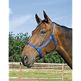 Busse Halfter WEIDE, VB, schwarz, schwarz