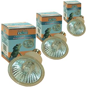 Replux 31648 3er PACK, Halogen Spot, 75 Watt, 220-235 Volt, E27 Fassung, R51