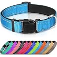 Joytale Reflective Dog Collar, Soft Neoprene Padded Breathable Nylon Pet Collar Adjustable for Small Dogs, S, Skyblue