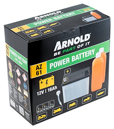 Arnold 5032-U1-0001 Original MTD Batterieset, 12V-16Ah - 2