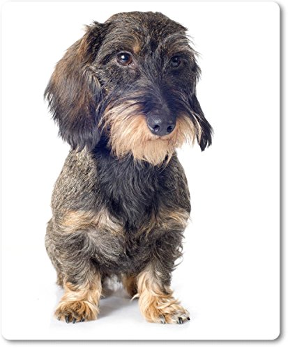 Mauspad / Mouse Pad aus Textil mit Rückseite aus Kautschuk rutschfest für alle Maustypen Motiv: Dackel Rauhhaardackel sitzend [26 ]