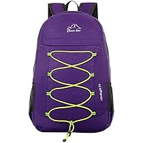 clever bees backpack