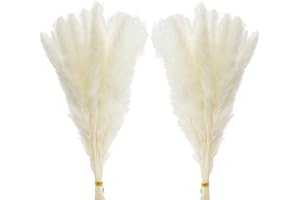 Comtelek 30 Stück Pampasgras,45cm Natürlich Pampasgras Getrocknet Weiss Deko Trockenblumenstrauß für Wohnzimmer,Schlafzimmer,Boho，Tischdeko Hochzeit（Weiß）…
