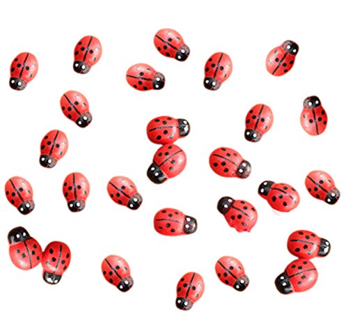 100x Da.Wa Miniature Fairy Garden Ladybugs Sticker Ornament Home Decoration Outdoor reviews 100x Da.Wa Miniature Fairy Garden Ladybugs Sticker Ornament Home Decoration Outdoor