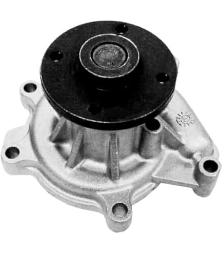 VKPC 81230 SKF Pompe à Eau Nbr. Dents: 19, Avec Joints, Matière