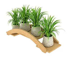 Dantawood Pine Bridge Planter Stand, Small-3.5 Inch, 1 Piece Size : 35.6 x 15 x 7.6 Centimeters