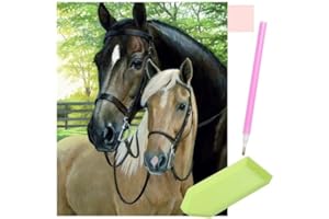 SIAMED Diamond Painting Kit, 2023 New Diamond, Peinture par numéros, DIY, 5D Diamant Painting, Images Arts Craft pour la décoration murale de la maison, 40 x 30 cm (chevaux)