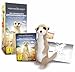 Produktbild Die Königin der Erdmännchen - Collectors Edition (DVD, Stofftier und 4 Ausmalblätter)