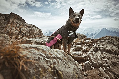 Hurtta-Ultimate-Warmer-Dog-Coat-Raspberry-30cm