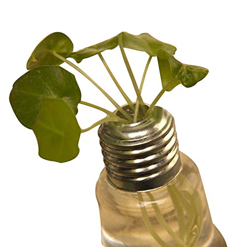 Gosear 2 Stück Dekorative Transparent Stand Glas Blume Pflanze Light Bulb Vase Schreibtisch Dekor Moderne Glühbirnenvase - 3