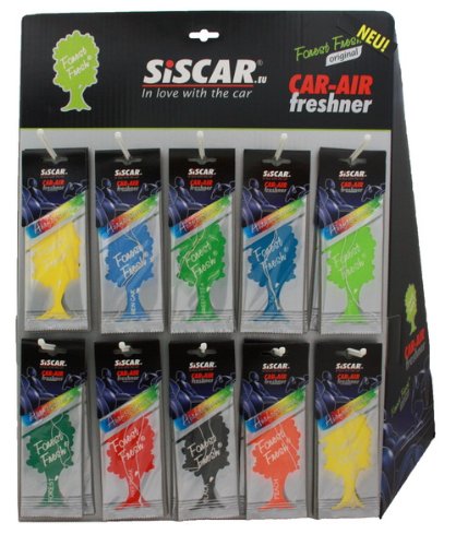 Preisvergleich Produktbild FOREST FRESH DISPLAY