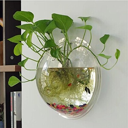 Kathson Home Decoration Pot Wall Hanging Mount Bubble Aquarium Bowl Fish Tank Aquarium